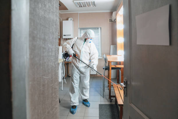 Best Commercial Mold Inspection  in Canon, GA