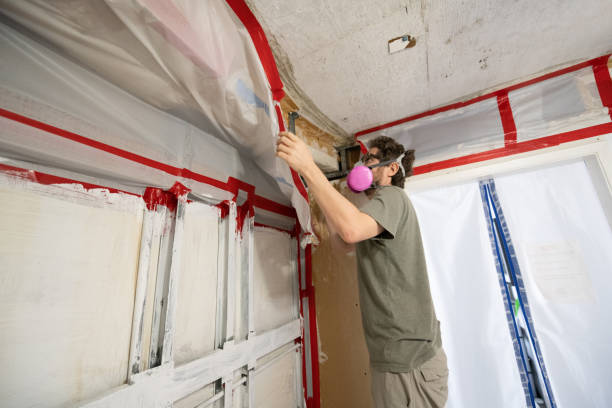 Best Mold-Related Health Consultation  in Canon, GA