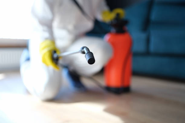 Best Asbestos and Lead Testing During Mold Inspection  in Canon, GA
